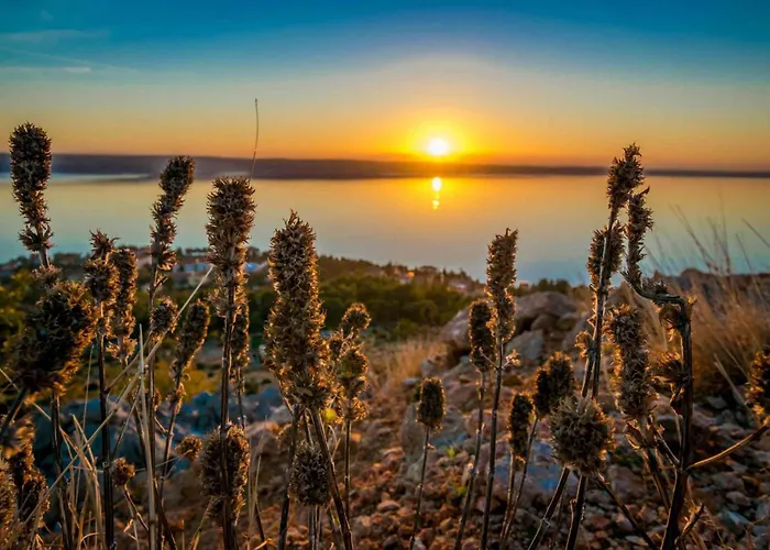 In Starigrad-paklenica 50111 Apartment *